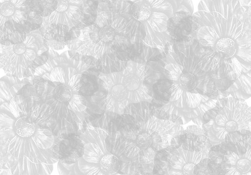 Silver Grey Hand Drawn Vintage Overlapping Flower Blossom Tapestry Background Pattern   