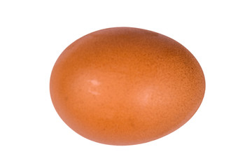 One hen egg isolated on a white background