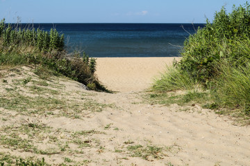 Fototapeta na wymiar Pathway to beach at Ocean View Beach in Norfolk, Virginia facing Chesapeake Bay.
