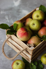 Ripe apples in wooden box. Top view with space for your text