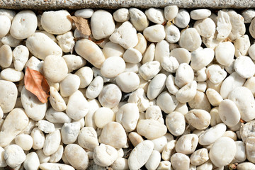 Small white pebbles close up. Natural abstract background