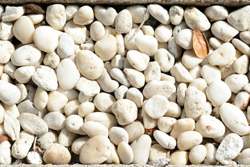 Small white pebbles close up. Natural abstract background