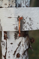 cross on the wall