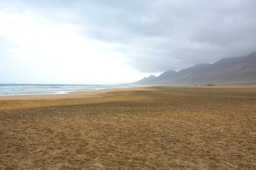 Fototapeta na wymiar Wet Sand on a Long Beach After the Storm in Fuerteventura, Canary Islands