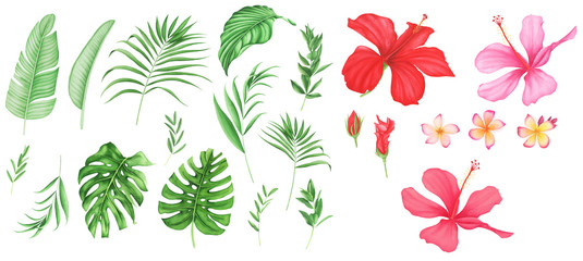 Tropical leaves and flowers set, watercolor painting. Monstera and palm leaves. Plumeria and hibiscus. © Татьяна Пушная