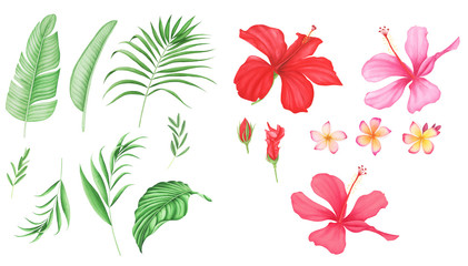 Fototapeta na wymiar Tropical leaves and flowers set, watercolor painting. Monstera and palm leaves. Plumeria and hibiscus.