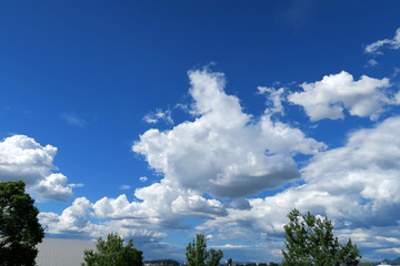 Obraz premium 田舎の青空 田舎の夏空 青空 夏空