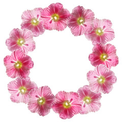 Beautiful floral circle of pink mallow. Isolated