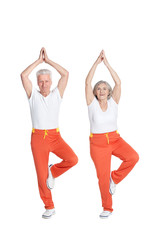 Obraz na płótnie Canvas Portrait of Senior couple exercising isolated on white background
