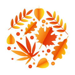 Set of bright autumn leaves in flat style. Stylized leaves of maple, Rowan, oak, birch, aspen, Linden. Autumn seasonal design. Isolated vector object on white background.