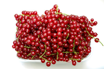 Ripe fruits of red currant on thin green stalks.