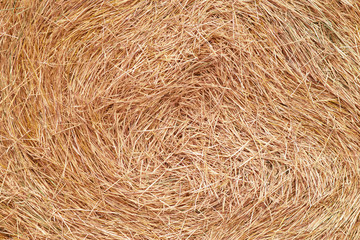Rolled bale of hay texture