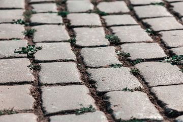 stone pavement background