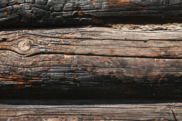 Burnt log abstract wood texture, close-up shot