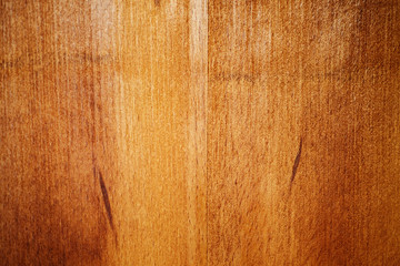 Bright old plywood abstract texture, close-up shot