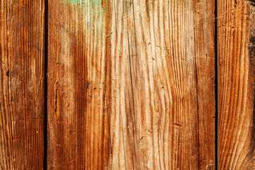 Detail abstract wooden texture macro shot