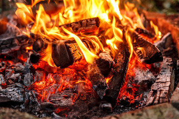 Macro shot of red hot embers of bonfire, selective focus