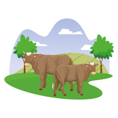 Two cows in nature scenery cartoon