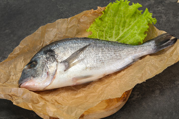 Raw Dorada fish  for cooking