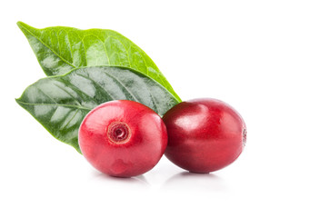 Red coffee beans isolated on white background with clipping path