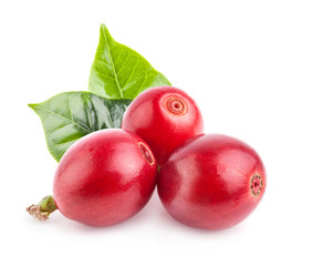 Red coffee beans isolated on white background with clipping path