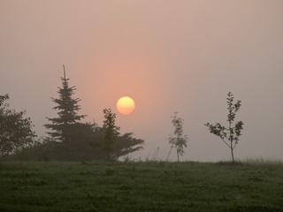 mystical sun in the morning light, meadow, Latvia
