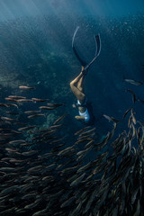 Woman in a sexy bikini enjoys diving with a massive school of sardines in Moalboal, Cebu.