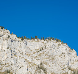 View of rocks with a small amount of trees