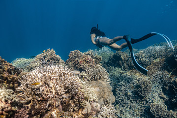Young woman in sexy swimwear explores a pristine reef in Pescador island, Moalboal.