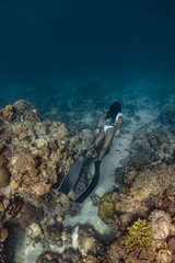 Young woman in sexy swimwear explores a pristine reef in Pescador island, Moalboal.