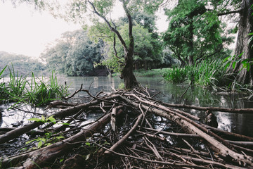 Obraz premium 緑地公園の風景