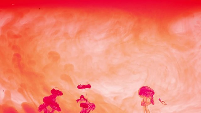Against a cloudy, misty orange background, plumes of pink ink ascend, creating a colorful abstract display