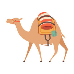 Dromedary, One Humped Camel with Saddle and Load, Side View Vector Illustration