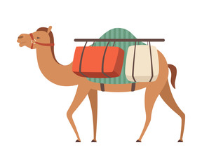 Camel Desert Animal Carrying Heavy Load, Side View Vector Illustration