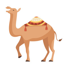 Dromedary, One Humped Camel with Bridle and Saddle Decorated with Ethnic Ornament Vector Illustration