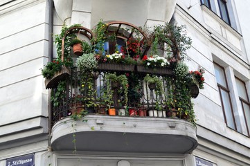 Balcony completely covered with ornamental plants