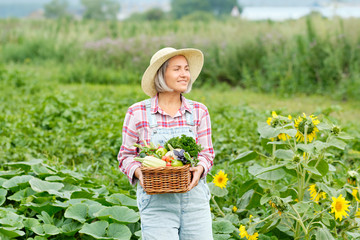 Cute Girl with a Basket Healthy Fresh Organic Vegetables. Harvest