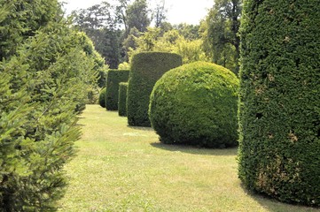 bushes as a sphere and cylinder cut, landscape architecture Vienna 2019