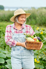 Cute Girl with a Basket Healthy Fresh Organic Vegetables. Harvest