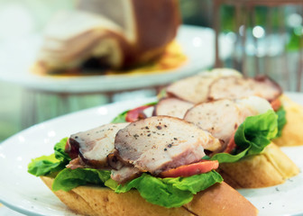 Delicious sandwiches in plate, fast food for breakfast or lunch