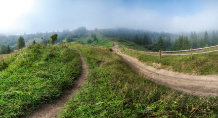 Fototapeta na wymiar rural foggy road in village
