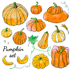 Collection of bright orange autumn pumpkin doodles. Fall harvest. Vector stock set. Cute icons with watercolor texture. Can be used for printed materials. Hand drawn. Halloween, thanksgiven.