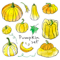 Collection of yellow orange autumn pumpkin doodles. Fall harvest. Vector stock set. Cute icons with watercolor texture. Can be used for printed materials. Food background. Hand drawn.