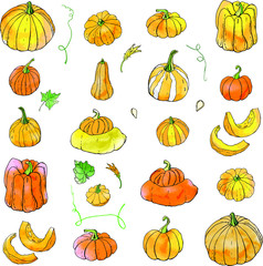 Collection of yellow orange autumn pumpkin doodles. Fall harvest. Vector stock set. Cute icons with watercolor texture. Can be used for printed materials. Food background. Hand drawn.