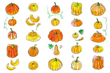 Collection of yellow orange autumn pumpkin doodles. Fall harvest. Vector stock set. Cute icons with watercolor texture. Can be used for printed materials. Food background. Hand drawn.