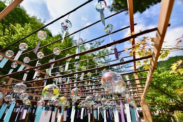 日本の風鈴の正寿院