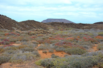 Desert Volcanic Landscape of Isla de Lobos in Canary Islands