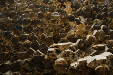 On the sunny side in the cracks of rocks from basalt columns in the summer in the gorge Garni in...