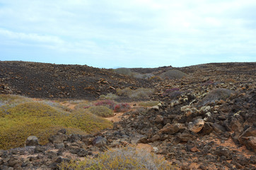 Desert Volcanic Landscape of Isla de Lobos in Canary Islands