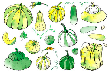 Collection of yellow green autumn pumpkin doodles. Fall harvest. Vector stock set. Cute icons with watercolor texture. Can be used for printed materials. Food background. Hand drawn.